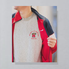 Lade das Bild in den Galerie-Viewer, Champs Sweatshirt "University of Maryland" 00er, grau, XL