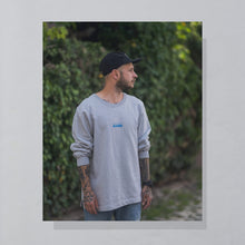 Lade das Bild in den Galerie-Viewer, Champion Sweatshirt "Vintage Allstars" Made in Mexico 90er, grau, L