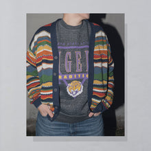 Lade das Bild in den Galerie-Viewer, Hanes Sweatshirt "LSU Louisiana State University Tigers" 00er, grau, M/L
