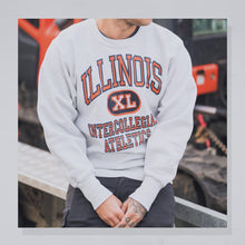 Lade das Bild in den Galerie-Viewer, Rugged Sweats Sweatshirt Illinois Reverse Weave 80er Made in the USA, grau, M/L