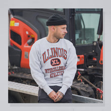 Lade das Bild in den Galerie-Viewer, Rugged Sweats Sweatshirt Illinois Reverse Weave 80er Made in the USA, grau, M/L