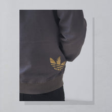 Lade das Bild in den Galerie-Viewer, Adidas Jacke dünn 2012, grau, M/L