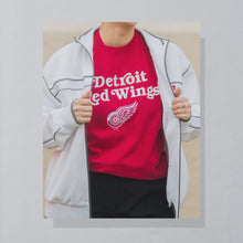 Lade das Bild in den Galerie-Viewer, Hanes T-Shirt "Detroit Red Wings" 2017, rot, L