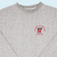 Lade das Bild in den Galerie-Viewer, Champs Sweatshirt "University of Maryland" 00er, grau, XL