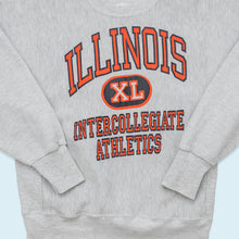 Lade das Bild in den Galerie-Viewer, Rugged Sweats Sweatshirt Illinois Reverse Weave 80er Made in the USA, grau, M/L