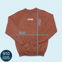 Lade das Bild in den Galerie-Viewer, Fruit of the Loom Sweatshirt "Vintage Allstars" 70er, braun, S/M