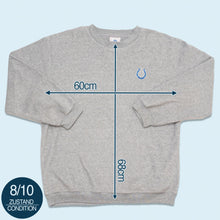 Lade das Bild in den Galerie-Viewer, NFL Fleece Sweatshirt Indianapolis Colts, grau, XL