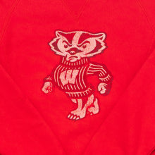Lade das Bild in den Galerie-Viewer, Champion Reverse Weave Sweatshirt "Wisconsin Badgers", rot, S