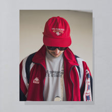 Lade das Bild in den Galerie-Viewer, Fruit of the Loom T-Shirt &quot;Bruce Springsteen Tour 2009&quot;, grau, L
