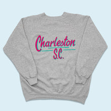 Lade das Bild in den Galerie-Viewer, Hanes Sweatshirt &quot;Charleston S.C.&quot; Made in the USA 1992, grau, L/XL
