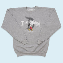 Lade das Bild in den Galerie-Viewer, Disney Parks Sweatshirt Disneyland Resort, grau, S
