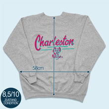 Lade das Bild in den Galerie-Viewer, Hanes Sweatshirt &quot;Charleston S.C.&quot; Made in the USA 1992, grau, L/XL
