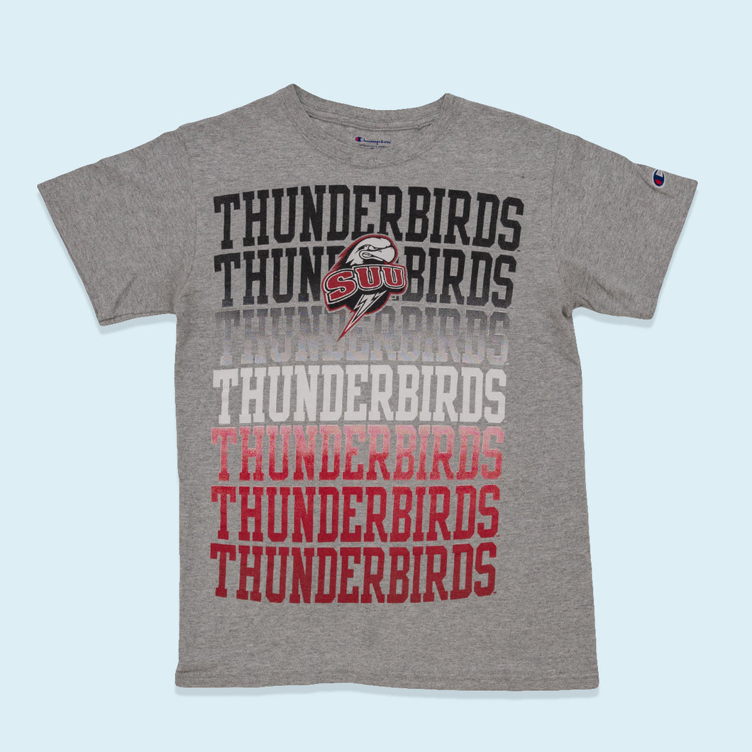 Champion T-Shirt Thunderbirds, grau, S